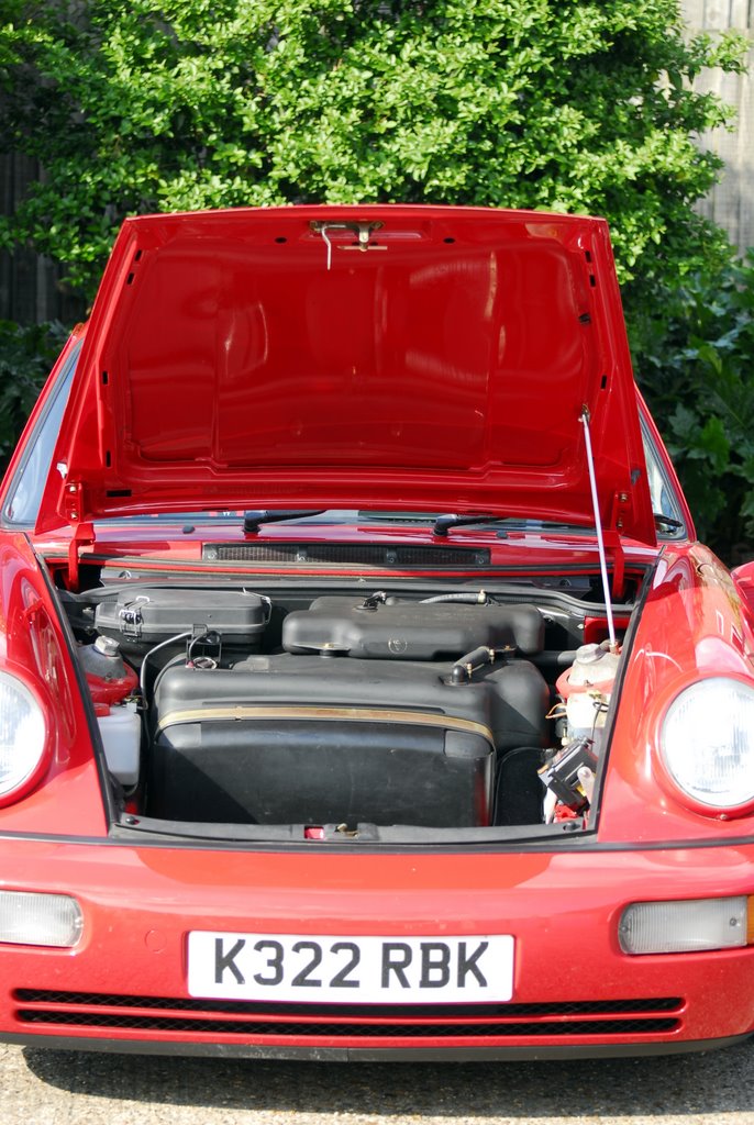 4-bonnet-2010-05-17-1016.jpg